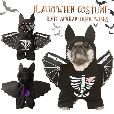 Pet+Costumes