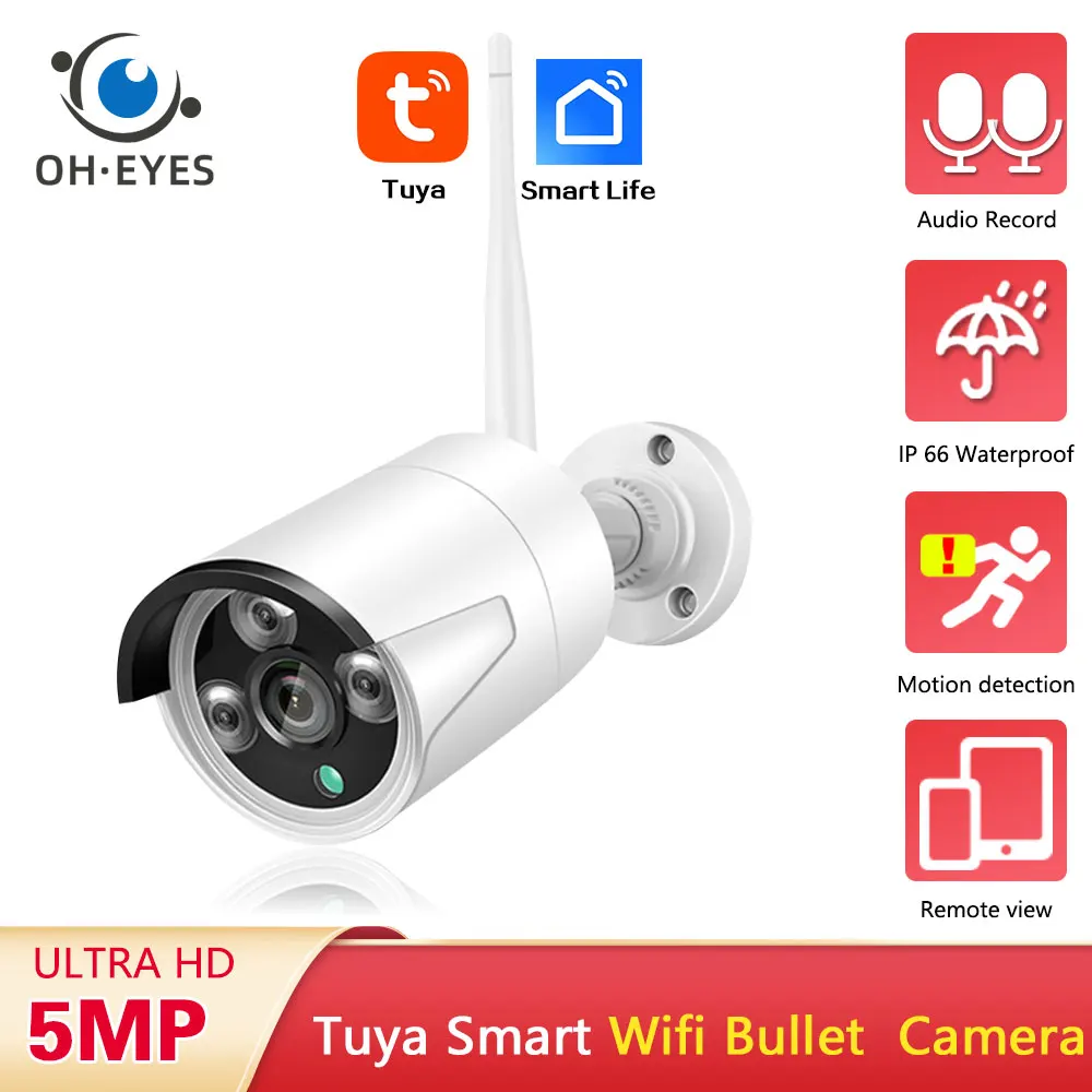Smart Life 5mp drahtlose IP-Überwachungs kamera Audio-Aufzeichnung im Freien wasserdicht Tuya Wifi Metall kugel CCTV-Überwachungs kamera P2P Image