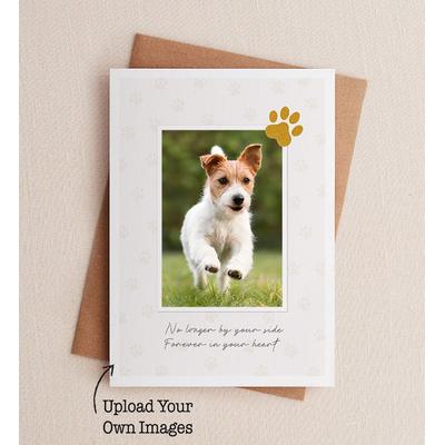 1-800-Flowers Everyday Gift Delivery Pet Photo Sympathy Greeting Card