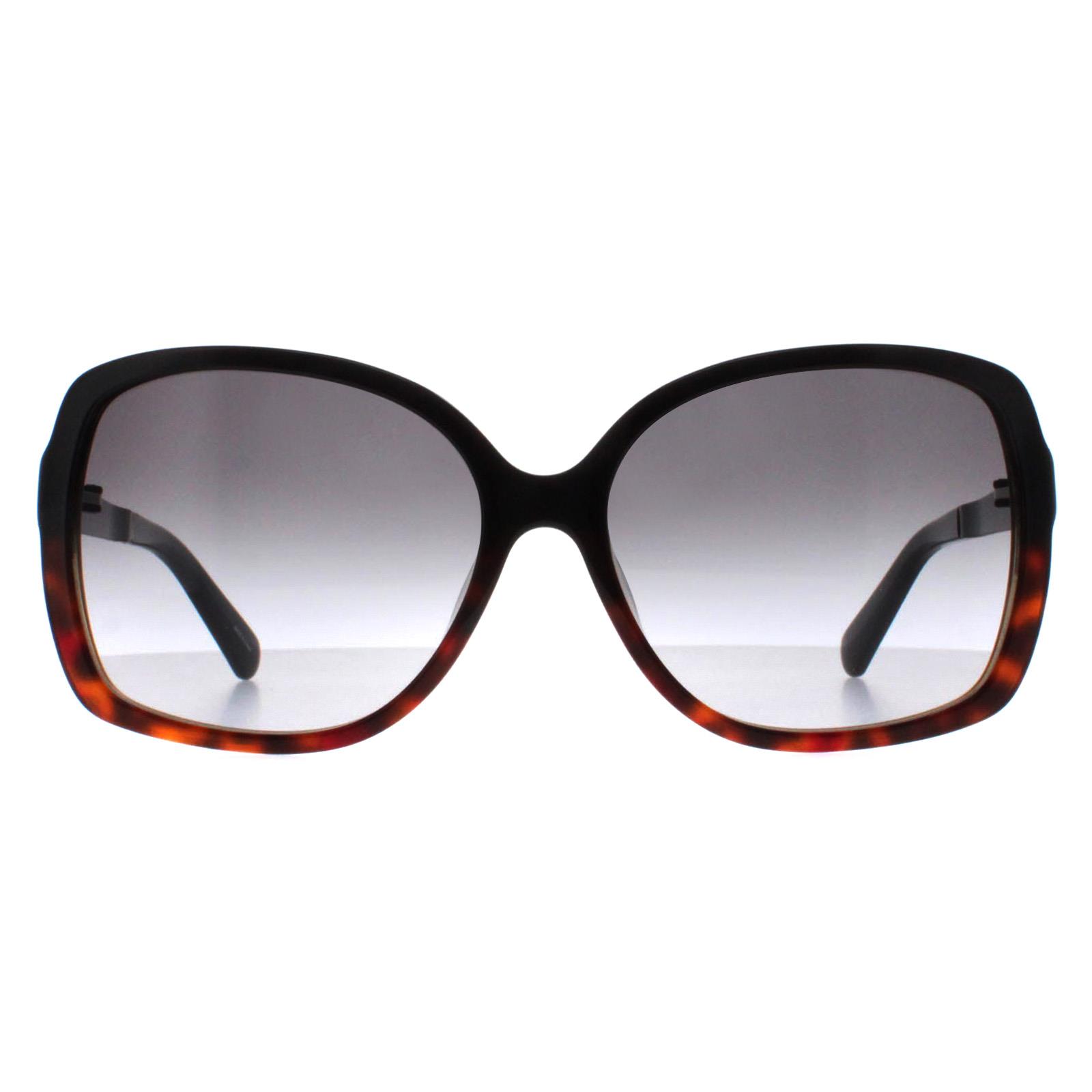 Kate Spade Buttefly Womens Black Tortoise Fade Grey Gradient Darilynn/S Image