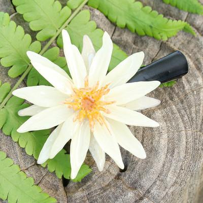 'Hair Clip with Resin-Coated Natural Water Lily in Ivory'