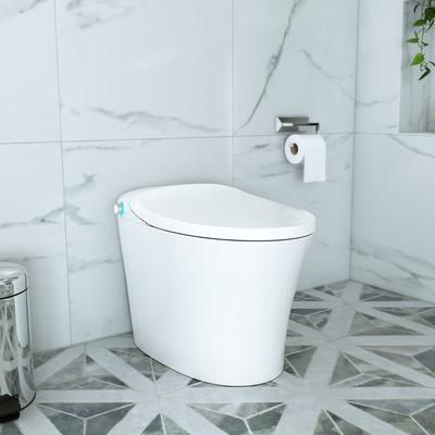 Randolph Morris Synchron Heated Seat Kick Flush Smart Toilet Bidet Combo RMXR-836