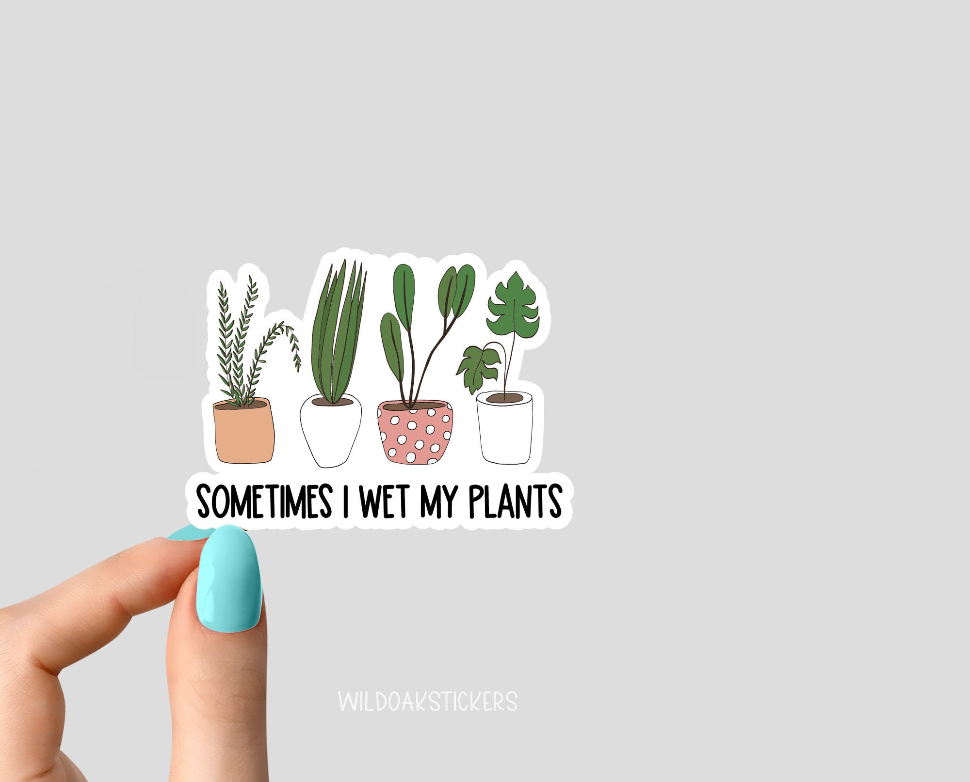 a volte ho bagnato l'adesivo delle mie piante, adesivi per piante succulente in vaso, adesivi per la vita delle piante, adesivi per laptop con piante,