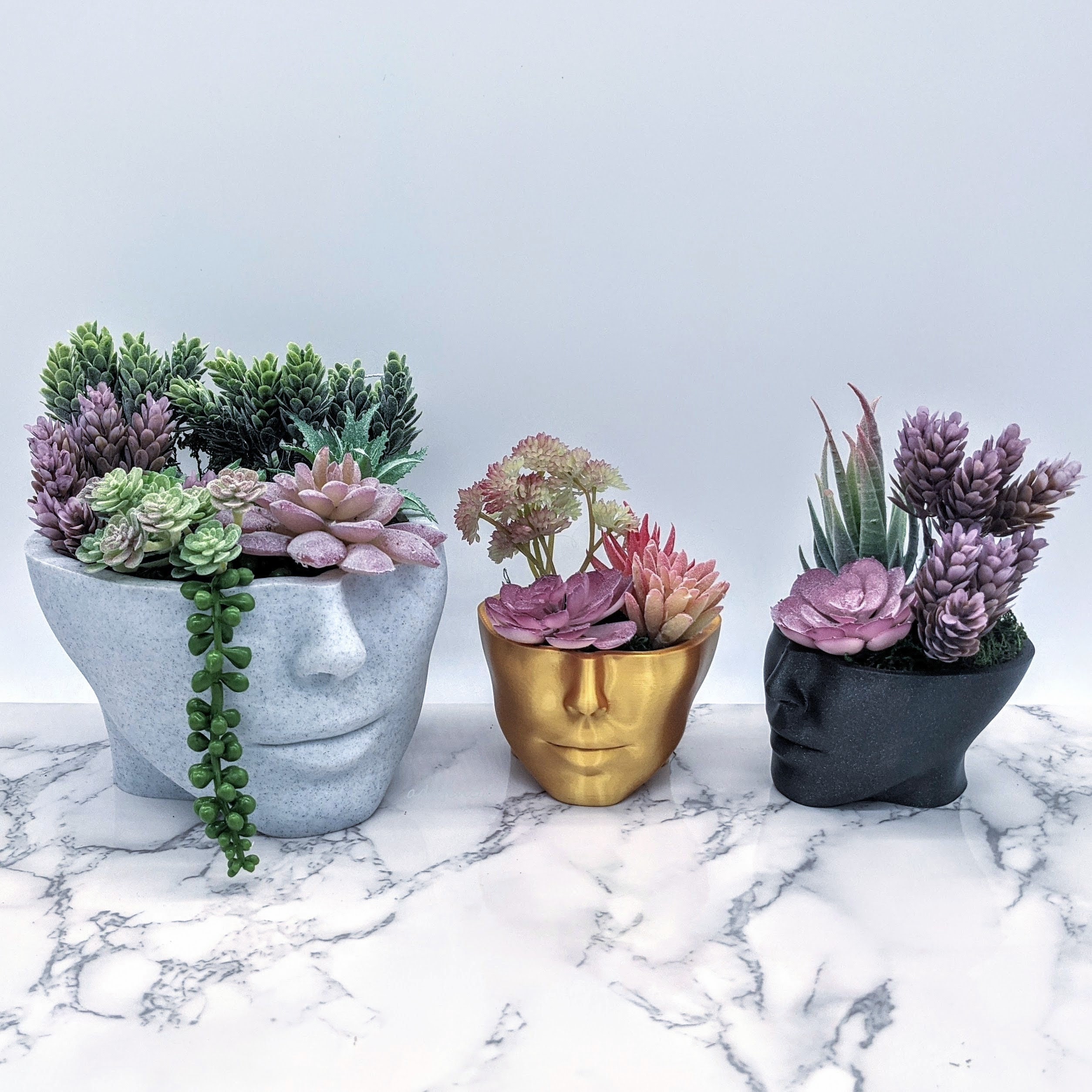 Vaso a forma di testa - Vasi per piante grasse a forma di viso - Vasi per piante a forma di testa di donna - Giardino domestico - Vaso a forma di test