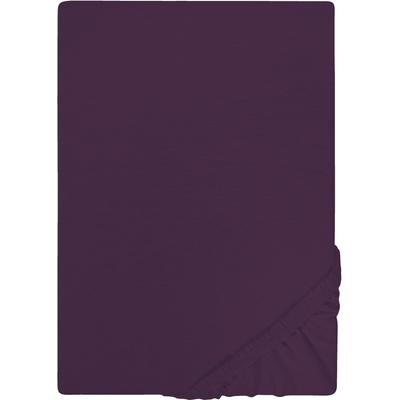 Spannbettlaken "Jersey in Gr. 90x200, 140x200 oder 180x200 cm", lila (dunkelviolett), B:120cm L:200cm, Jersey, Obermaterial: 100% Baumwolle, CASTELL - MARKENBETTWÄSCHE, Laken, aus Baumwolle, für Matratzen bis 22 cm Höhe, Bettlaken, Spannbetttuch Image