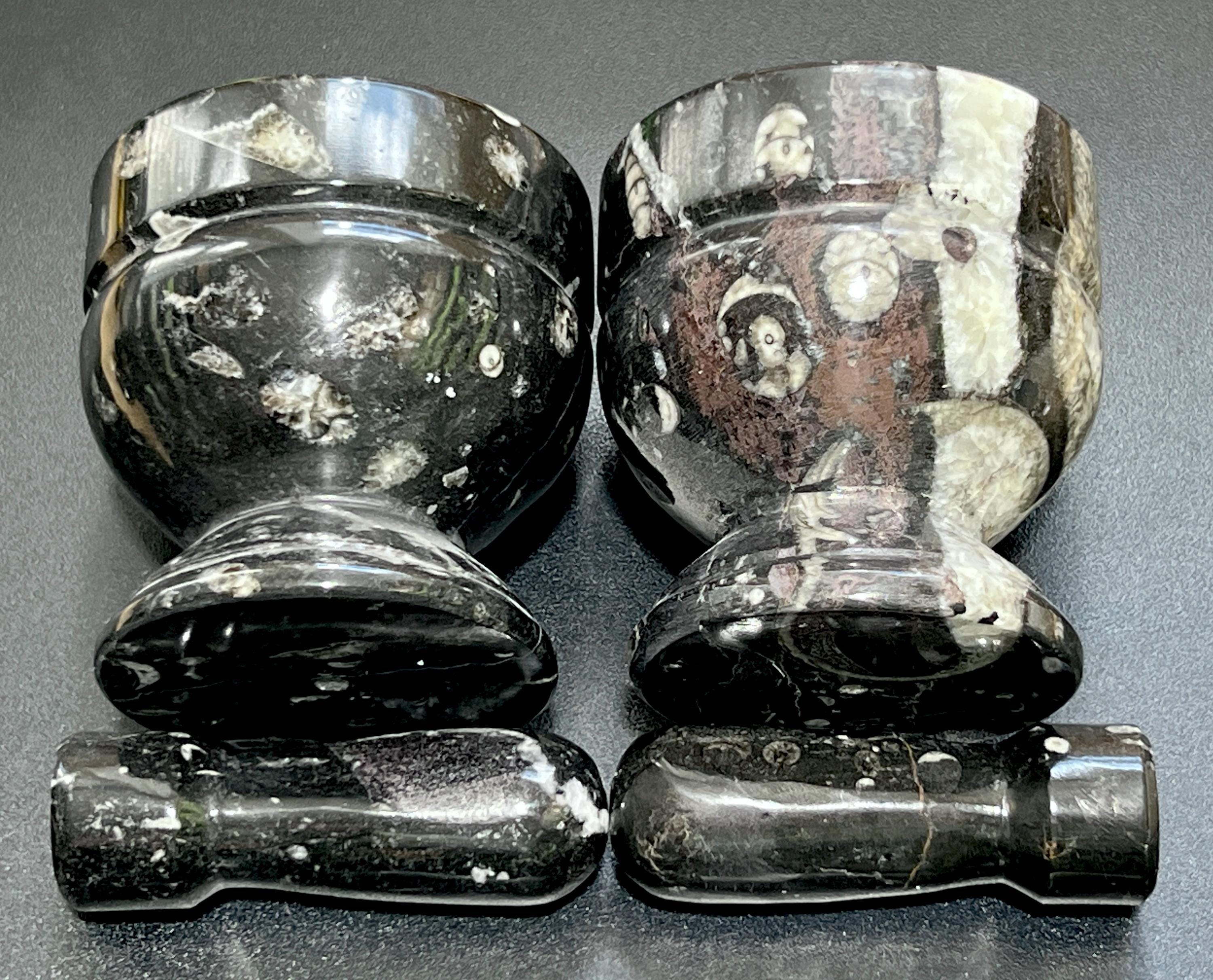 Set di mortaio e pestello Orthoceras (mortaio + pestello) in pietra fossile nera lucidata, macina e miscelatore