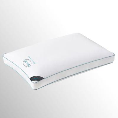 Sleep Climate Pillow White, Standard / Queen, White