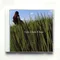 Film All About Lily Chou Chou Takeshi Kobayash CD musicale Arabesque OST Album Registrazione musicale Cosplay Walkman Car Soundtracks Box