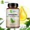 Ashwagandha - Relieve Stress, Focus, Boost Brain, Replenish Energy, Improve Sleep Health - 120 Capsules