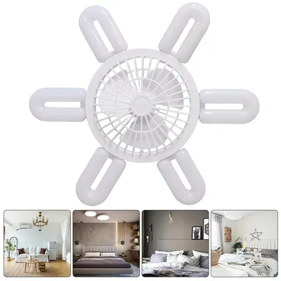 Ceiling+Fans