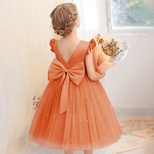 Blumenmädchenkleid Kinder Mädchen Prinzessinenkleid Leistung Hochzeit Party Elegant Schön Gitter Feste Farbe Ärmellos Rundhalsausschnitt Hellgelb Hellrosa 4 Jahre Image