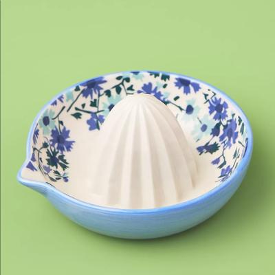 Anthropologie Kitchen | Anthropologie Brand New, Sarah Campbell Juicer | Color: Blue | Size: Os