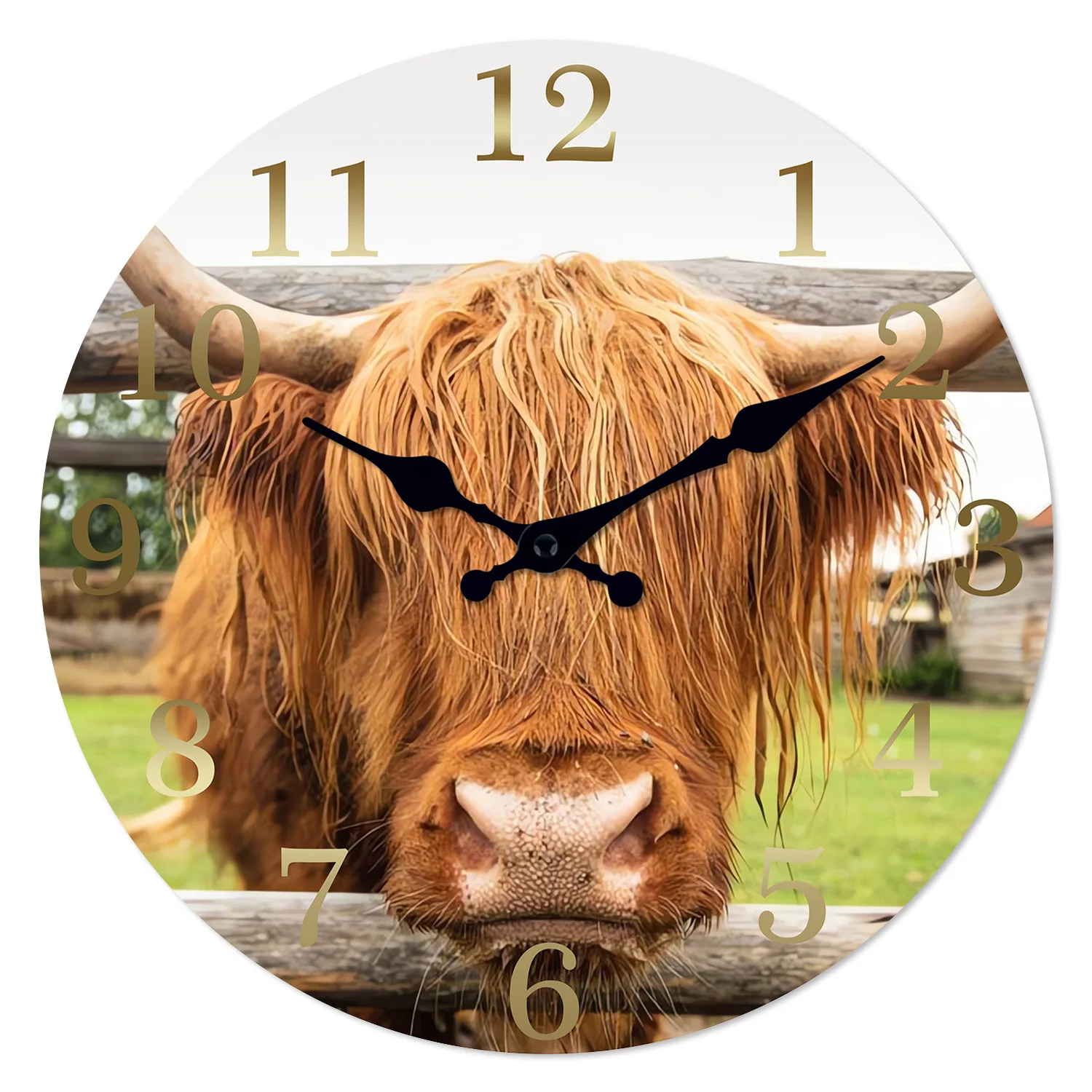 Personalisierte Schottische Highland-Kuh Holz-Wanduhr Wohnzimmer Schlafzimmer Küche Heimdekoration Geräuschlose Quarzuhr Geschenk für Feiertage 10 Zoll 12 Zoll 14 Zoll 16 Zoll (Ohne Batterie) Image