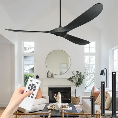 Ceiling+Fans