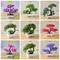 Artificial Guest-Greeting Pine Tree Potted Bonsai Home Garden Balcony Decoration Fake Plants Bonsai