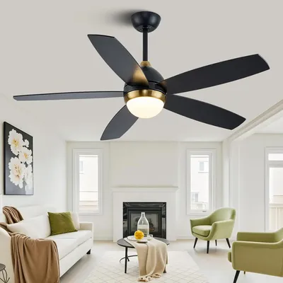 Ceiling+Fans