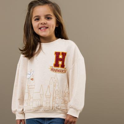 Harry Potter Drop Shoulder Crewneck - 5