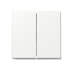 Gira Wippe 2f 329566 Image