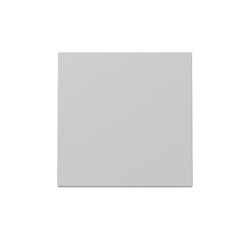 Gira Wippe 3296015 Image