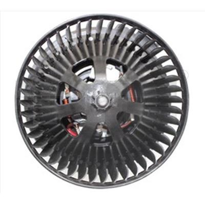 Tyc Innenraumgebläse [Hersteller-Nr. 510-0007] für Ford Image