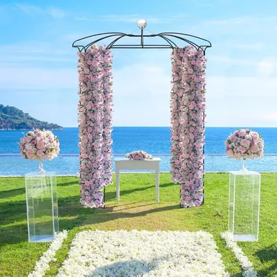 Birdcage Shape Garden Arch, 9.4 x 6.8FT Garden Arch Trellis with Hanging Hook for Climbing Plants,