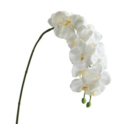 Hanging Phalaenopsis Orchid Branches, Set of Three - Frontgate