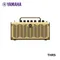 Yamaha THR5 / THR5 A cassa elettrica acustica altoparlante per chitarra altoparlante per chitarra