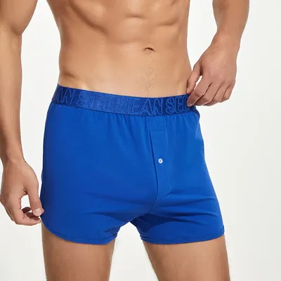 Männer lässige Shorts Boxershorts Schlaf hosen nahtlose atmungsaktive Aro Hosen Unterwäsche Lounge Image
