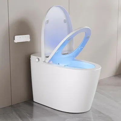 Smart Toilet, Tankless Elongated Electric One Piece Toilet with Smart Bidet, Smart Toilet Bidet Seat