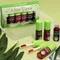 6-farbiges Aloe Vera flüssiges Lippenstift-Set, Farbwechsel, Lipgloss, langlebig, feuchtigkeitsspendend, Lippentönung, Schönheit, koreanische Kosmetik, Make-up-Tool