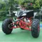 ATV War Eagle Beach Bike Mountain Terrain Fuoristrada Adulto 4 Ruote Carburante Tempo Libero Recreazione Moto Fuoristrada