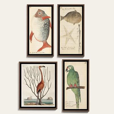 Naturalists Companion Art - Flamingo, Medium - Ballard Designs