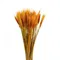 50PCs Wheat Ear Flower Natural Real Dried Flowers for Wedding Party Decor DIY Room Home Garden