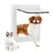 Controlled Entry / Exit Direction Pet Supplies Opening Cat/dog Door with Flap Dogs Pet Houses &