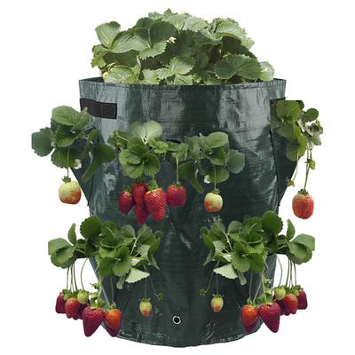 Vertical Strawberry Planting Grow Bags Growing Bags with 10 Pocket Planter Grow Bag - Gardening Wall Hanging Vegetable Planting Tools