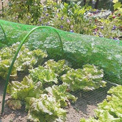 Green Insect-Proof Net Greenhouse Orchard Vegetable Field Net Cover Special Insect-Proof Plant Net Cover Anti-Bird Net Cover