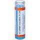 STAPHYSAGRIA*80 granuli 5 CH contenitore multidose 80 Granuli