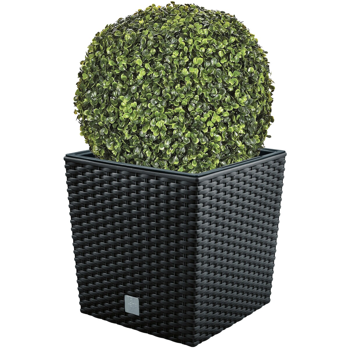 WellHome - Topf 32L Rato in Anthrazit mit Buchskugel 36 cm Image