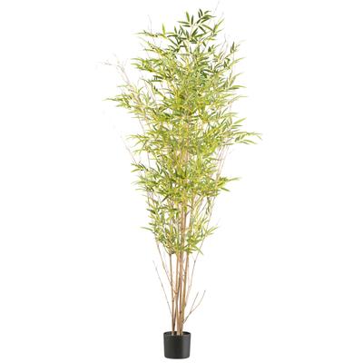 Kunstbambus CREATIV GREEN "Bambus", grün, H:185cm, Kunststoff, Kunstpflanzen, mit Naturstamm Image