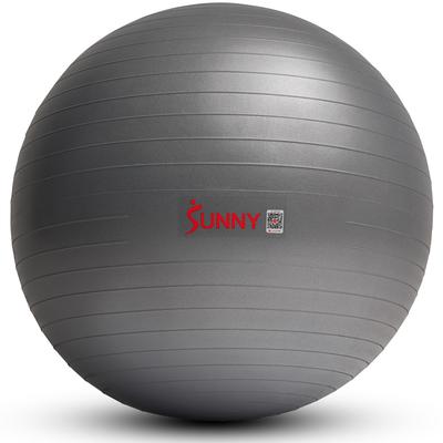 Sunny Health & Fitness Premium Yoga Ball Medium 65CM SF-EB02