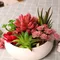 Artificial Green Purple Red Flocking Succulent Plants DIY Home Garden Office Wedding Decoration Mini