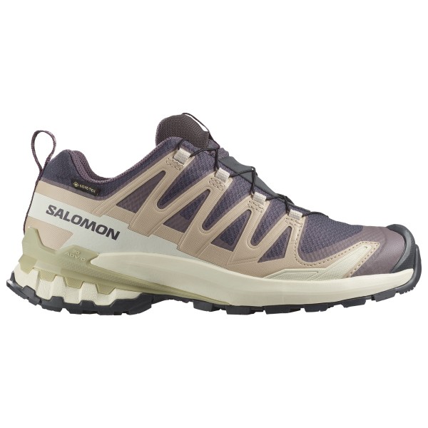 Salomon - Women's XA Pro 3D V9 GTX - Multisportschuhe 40 | EU 40 beige