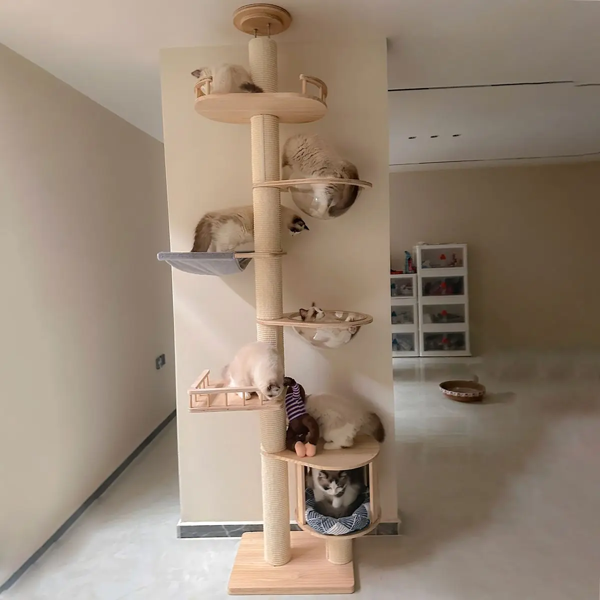Massivholz Katzen kletter rahmen langlebiges und kratz festes PVC Sisal Katzen kratz baum mehr schicht iges Kratz baumhaus Image