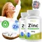 Zinc Capsules - Zinc Gluconate Supplement - Enhanced Absorption - for Immune System and Skin Health,