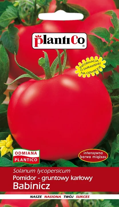 Tomaten Babinicz Gemüse Tomaten samen für den Garten Image