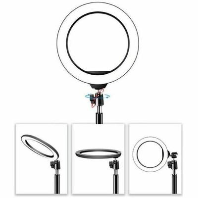 Codi - Ring Light - 1 Heads - Led - Dc