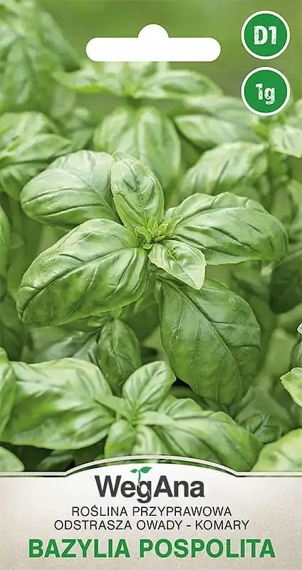 Basilikum Pospolita 1g Kräutersamen-VegAna Image