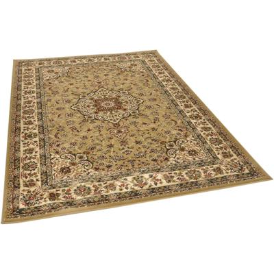 Teppich THEKO "Hamadan 359", braun (camel), B:80cm H:10mm L:150cm, Polypropylen, Teppiche, Kurzflor, Orient-Optik, auch als Läufer Image