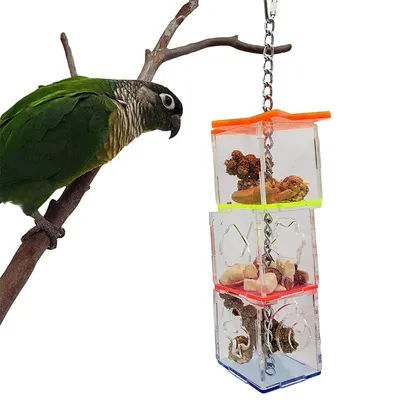 Bird+Supplies
