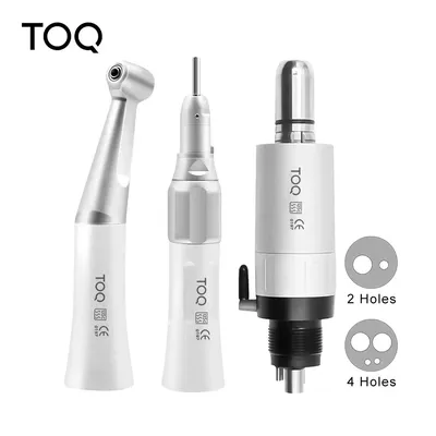 Dental Fx Low Speed Handpiece Teeth Polishing Tool 2/4Holes Air Motor Contra Angle Straight